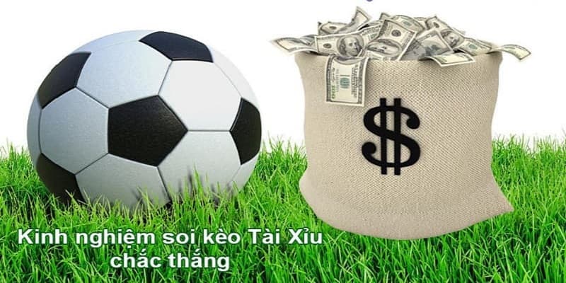 kinh nghiệm soi kèo tài xỉu bóng đá kinh nghiệm soi kèo tài xỉu bóng đá